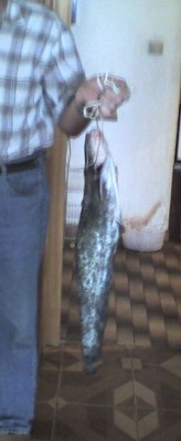 som.jpg (35.33 KБ) Видяна 8129 пъти som.jpg