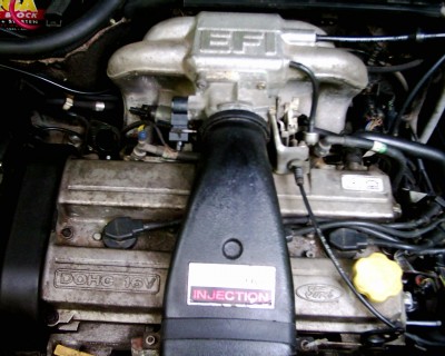 DSCI0215.JPG