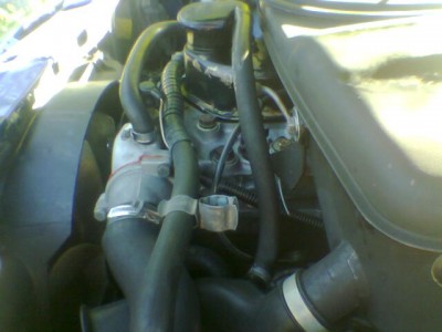 Image1.jpg