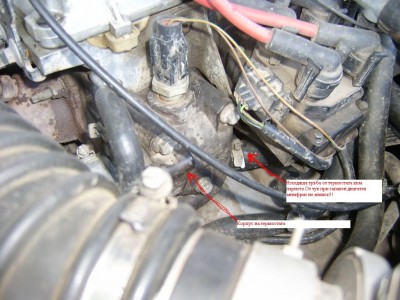 S3600018.JPG