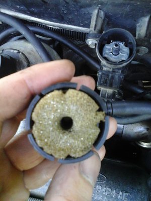 20150525_123252.jpg