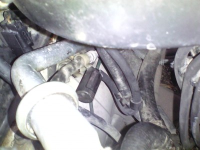 IMG_20171118_121028.jpg (1.35 MБ) Видяна 11325 пъти IMG_20171118_121028.jpg