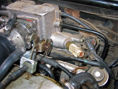 p2.jpg