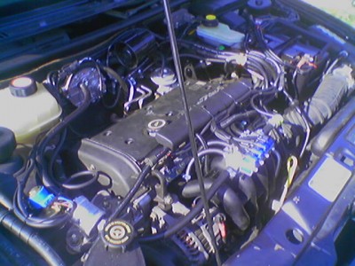 070616_093653.jpg (62.09 KБ) Видяна 5215 пъти 070616_093653.jpg