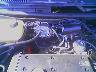 070616_0936151.JPG