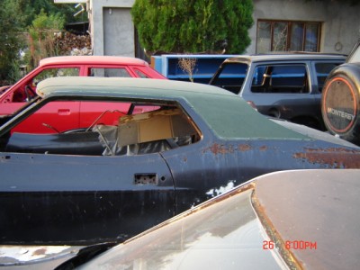 Picture 265.jpg