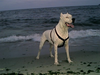 index.php.jpg (73.83 KБ) Видяна 6547 пъти index.php.jpg