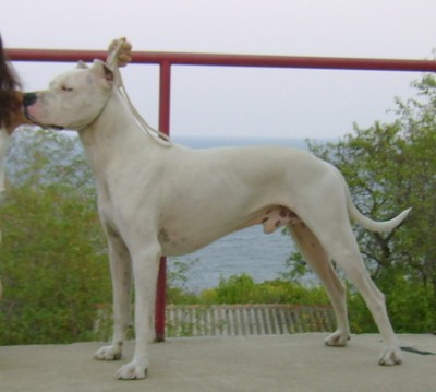 index.php.jpg (60.76 KБ) Видяна 6161 пъти index.php.jpg