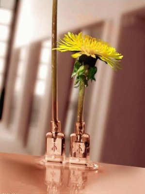 1136870274_connectors_sc_.jpg (36.16 KБ) Видяна 13339 пъти 1136870274_connectors_sc_.jpg