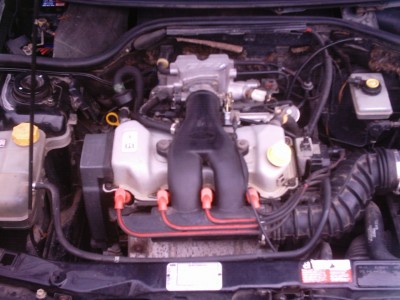 IMAG0019.JPG